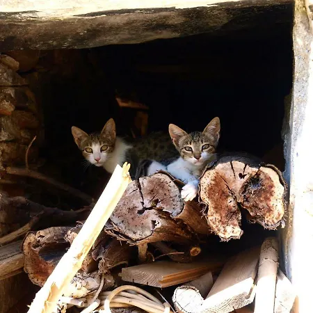 Tzitzifia - Near Elafonisi بيت للعطل
