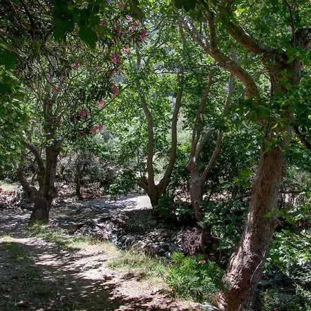 Tzitzifia - Near Elafonisi